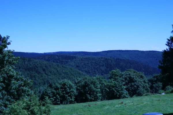 Der Thüringer Wald